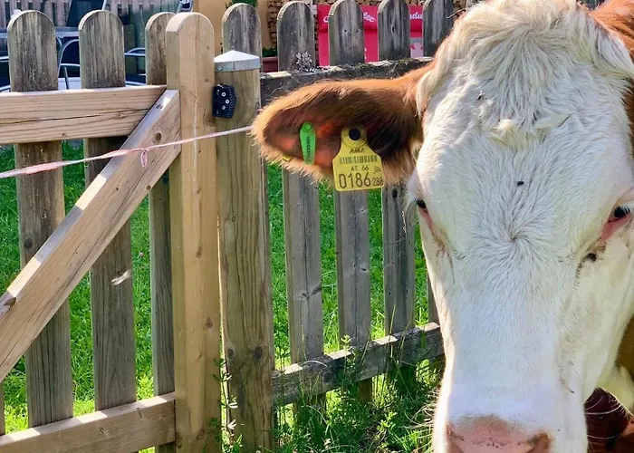 Promi-lodge - An Der Piste